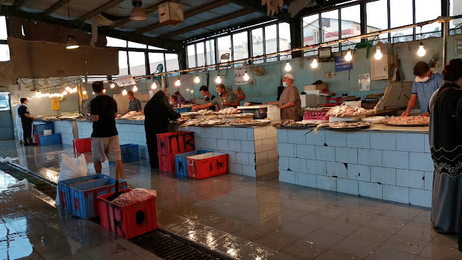 القطيف‎ 32618