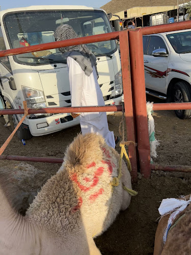 Comentarii opinii despre ملحمة الاختيار 2