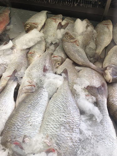 Comentarii opinii despre مطاعم البحار للأسماك