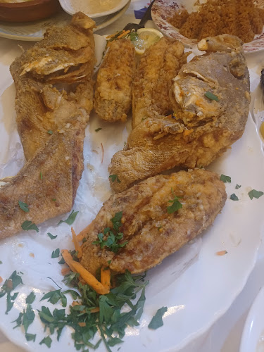 Comentarii opinii despre أسماك نوارة الإسكندرية