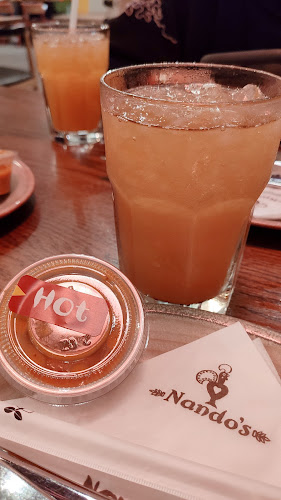 ناندوز - جدة