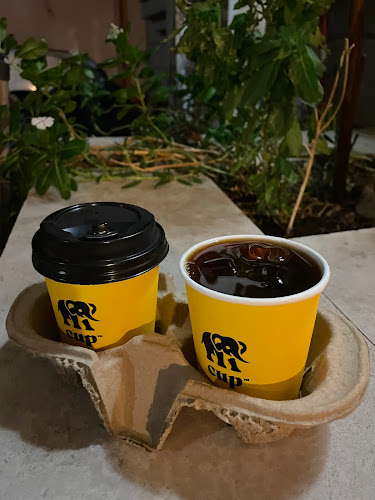 ايليفنت كب - elephant cup