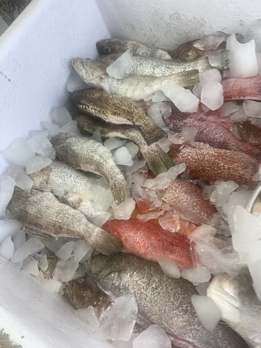 9JP7+QGW، طريق ام منيع اسماء بنت عمرو، الرانوناء، المدينة المنورة 42394