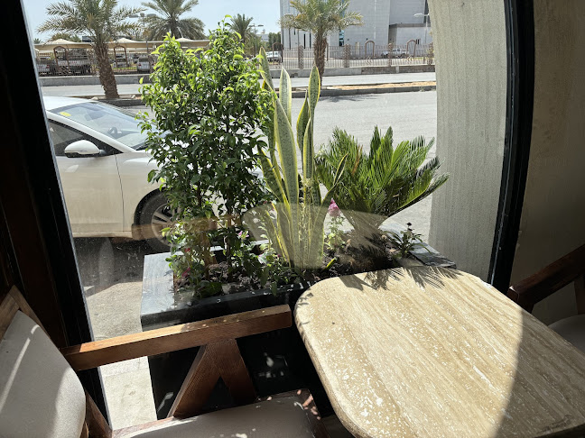 مروج الأمير، تبوك 47315