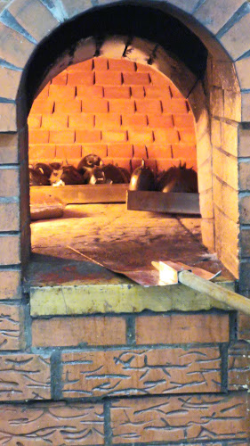 Comentarii opinii despre أصداف الجزر للأسماك