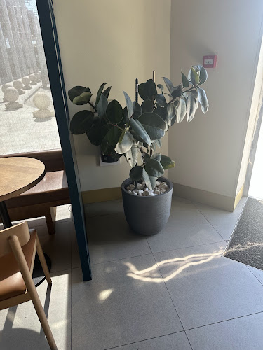 Opinii despre ستاربكس كافيه în جدة - الضيافة