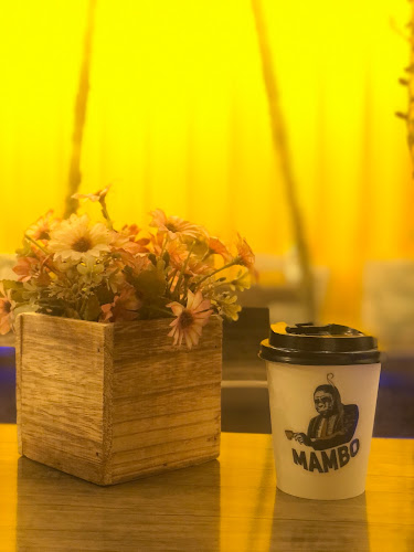 Comentarii opinii despre مامبو كوفي