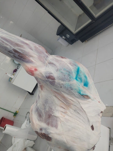 ملحمة الضان البلدي - الضيافة