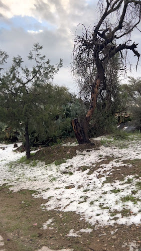 البرجر الطازج Fresh Burger - بلجرشي