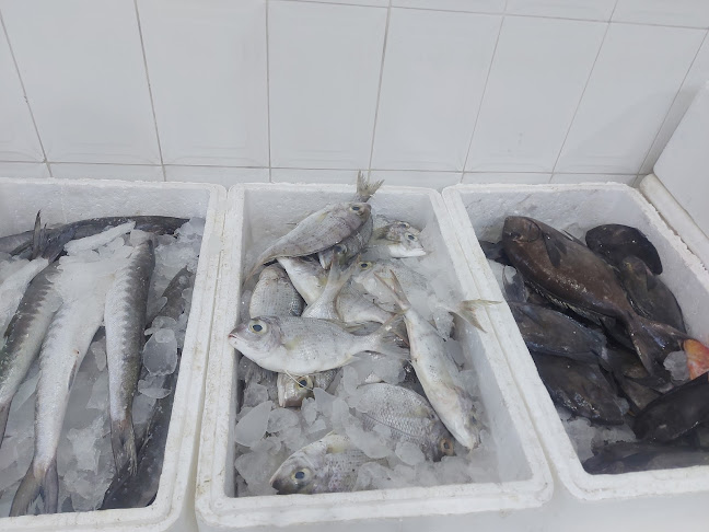 RED SEA FRESH FISH RESTAURANT BISHA مطعم البحر الاحمر - الضيافة