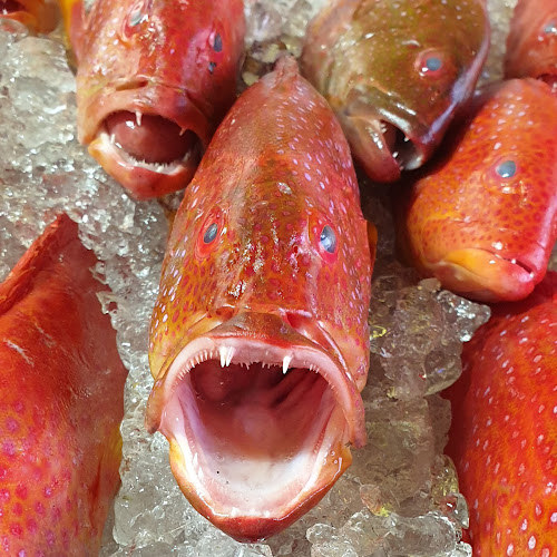 Opinii despre مطعم أسماك فسفور للمأكولات البحرية în مكة - الضيافة