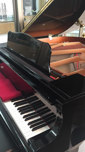 Comentarii opinii despre نجم الكوب