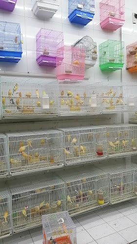 محل جنة الاحساء