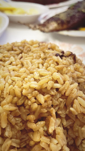 أسماك نوارة الإسكندرية