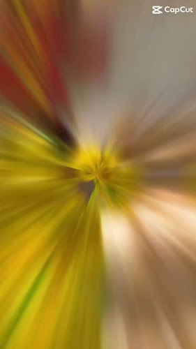 مانجوت فرع الخالدية - الضيافة