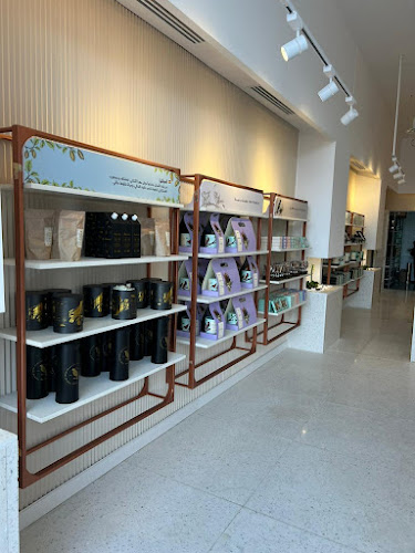 Comentarii opinii despre Anoosh