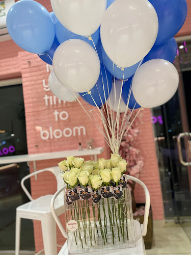 منطقة الازدهار/bloomzone - المدينة المنورة