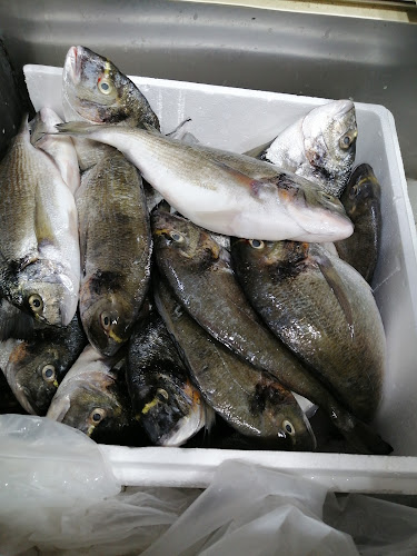 محل الشاذلي للاسماك ابو حنين - الضيافة