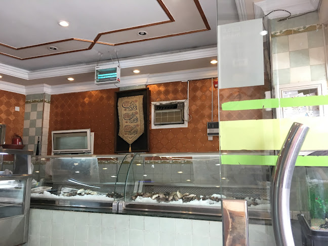 Comentarii opinii despre أسماك البحر الأحمر