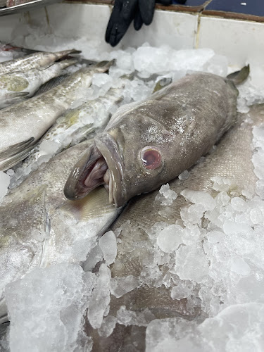 ابن سينا، المروج، الرياض 11564