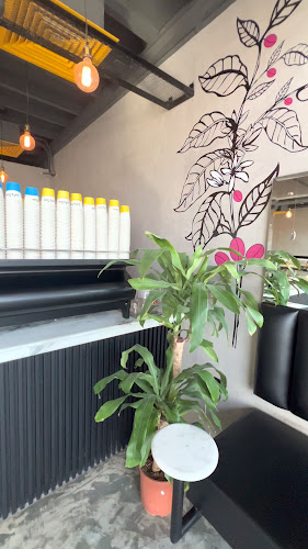 سكرايز الناصرة