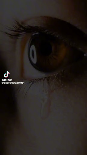 بيت المضغوط - حفر الباطن