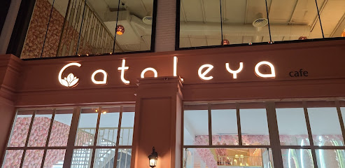 cataleya cafe كتاليا كافيه