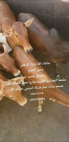 ملحمة البغدادية الغربية