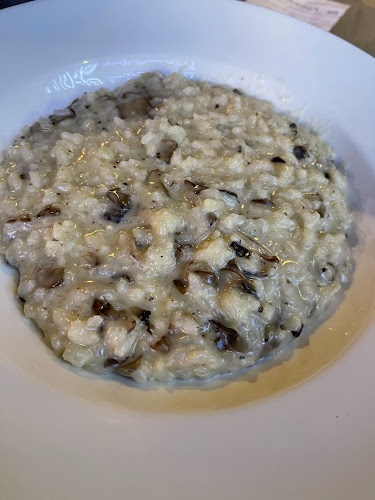 Comentarii opinii despre لافرينا 48