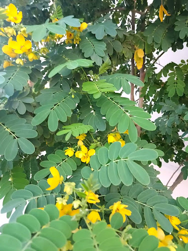 مطعم وشواية الورود البخاري - الضيافة