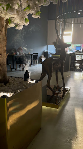 Opinii despre Deer coffee în حفر الباطن - الضيافة