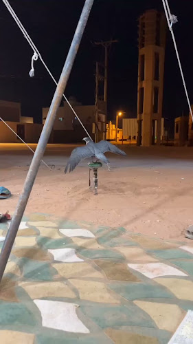 H5FC+MWF، H5FC+QR7، رماح 15852