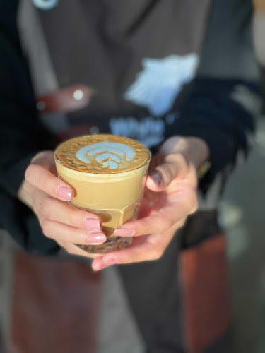 وايت وولف WHITE WOLF - بيشة