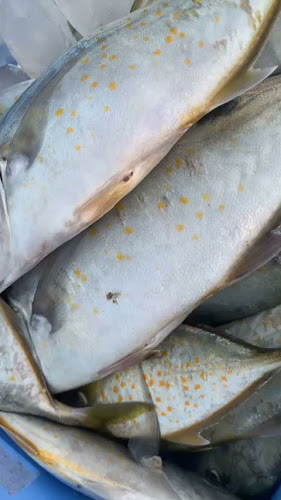 Comentarii opinii despre مطعم القبطان للاسماك الطازجة