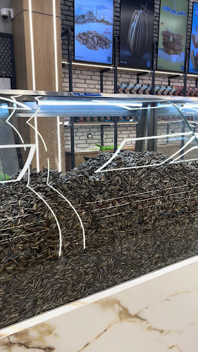 مرسى مطروح - جدة