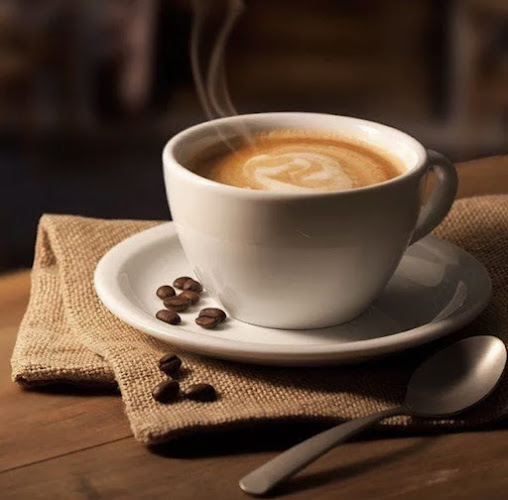 فينسيا لاونج ومقهى Vensia Lounge & Cafe - الضيافة