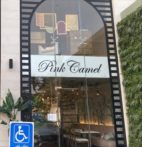 Comentarii opinii despre Pink Camel