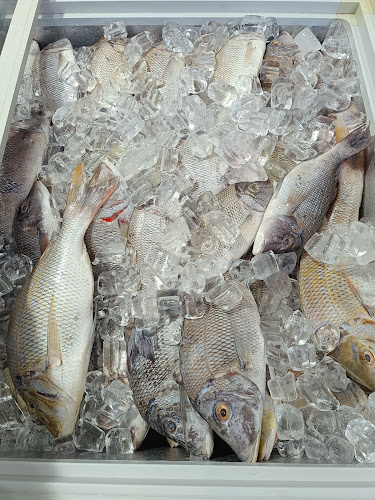 Opinii despre بيت البركة للأسماك în المدينة المنورة - الضيافة