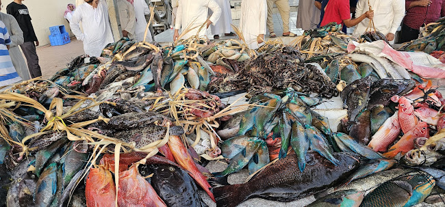 Comentarii opinii despre مطاعم الشيخ فهد عيد المزين للأسماك - الحلقه