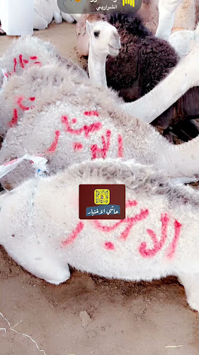 Opinii despre ملحمة الاختيار 2 în المدينة المنورة - الضيافة