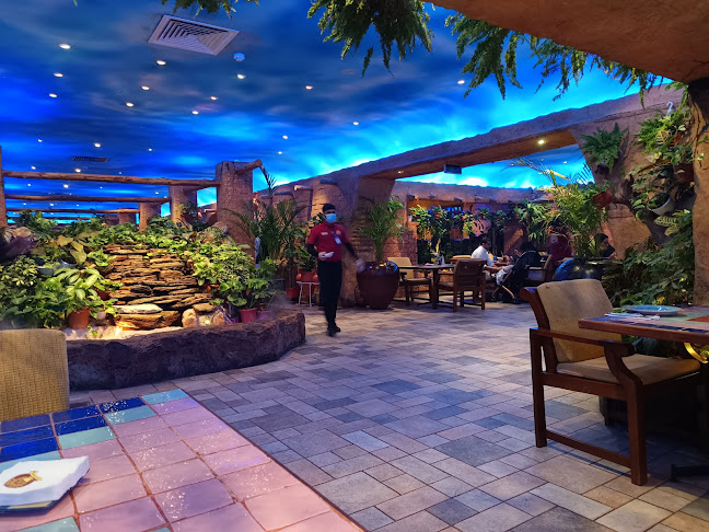 Comentarii opinii despre نكهة القهوة