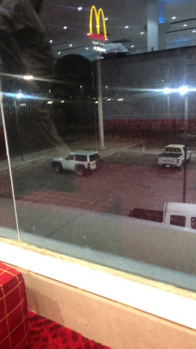 حاشي باشا - الضيافة