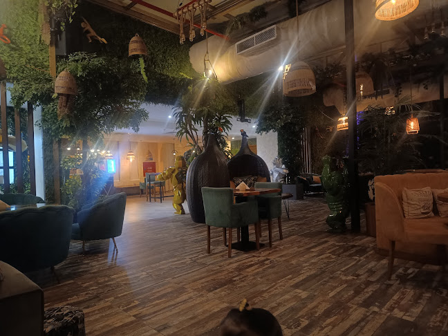 the Monkey's Lounge - الضيافة