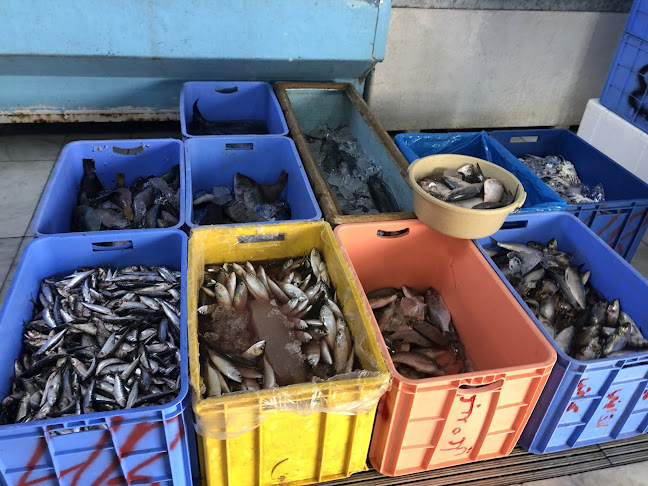 Opinii despre محل الشاذلي للاسماك ابو حنين în المدينة المنورة - الضيافة