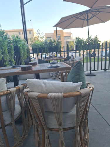 Comentarii opinii despre VOMERO