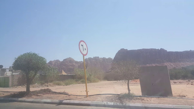 طاووق - تبوك