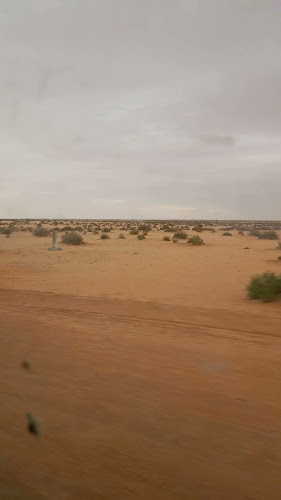 Comentarii opinii despre WORK&CO.