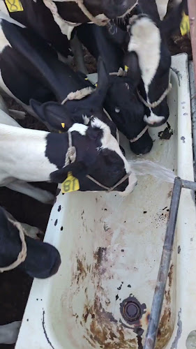 Ash Shara'i`, 24432 6390, مكة 24432