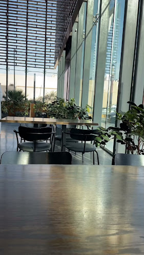 Comentarii opinii despre خطوة جمل