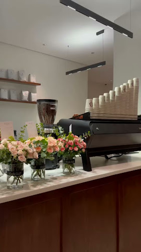 تو شوت - المدينة المنورة